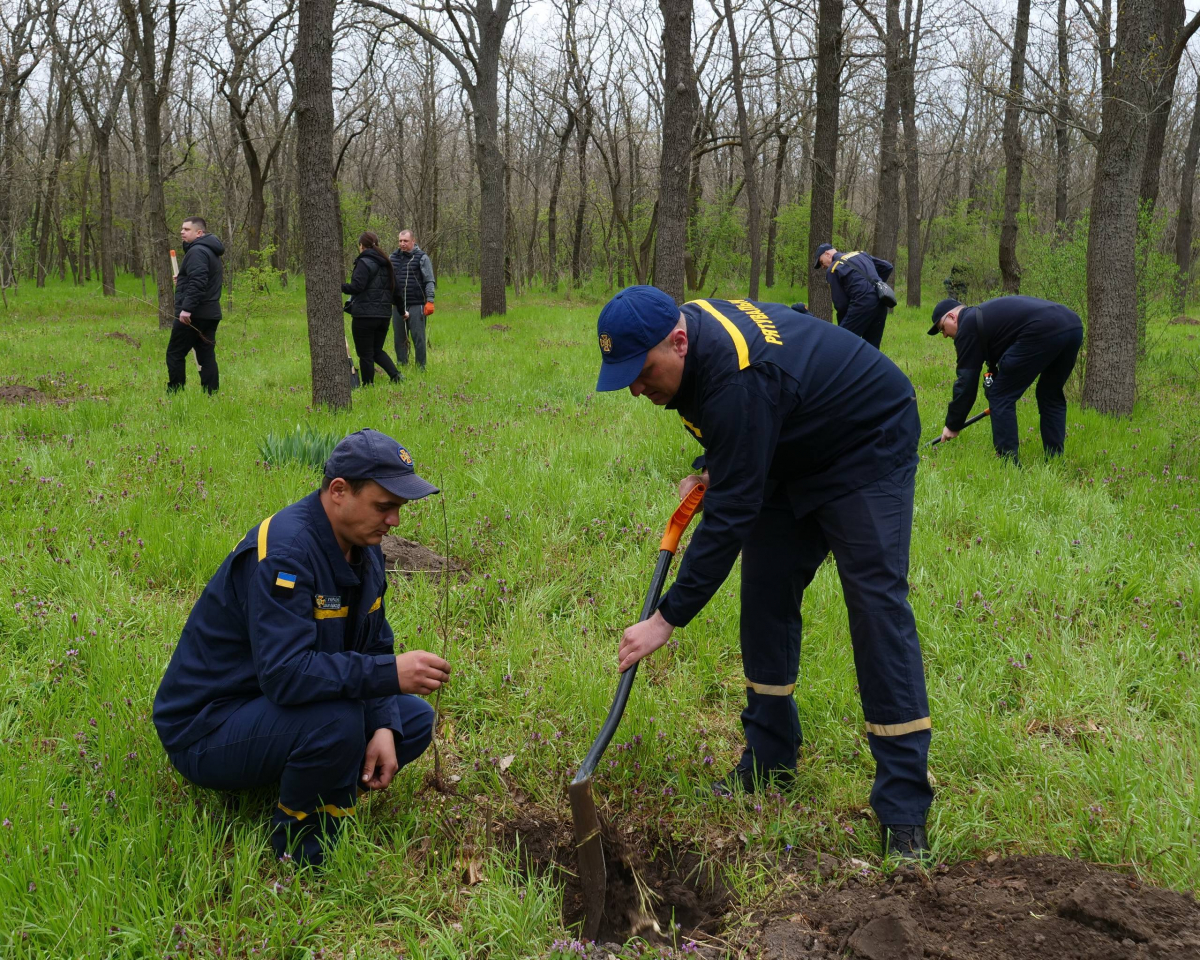 У День довкілля в парку на Хортиці посадили понад сто молодих дубків - фото