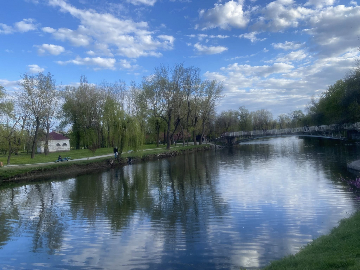 У головному парку Запоріжжя квітне сакура: чим ще можна помилуватись - фото