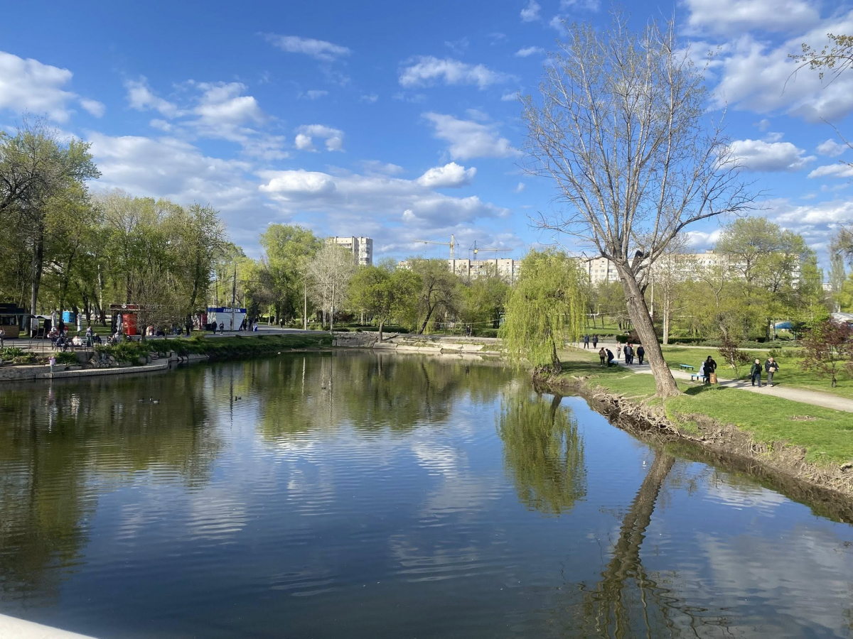 У головному парку Запоріжжя квітне сакура: чим ще можна помилуватись - фото