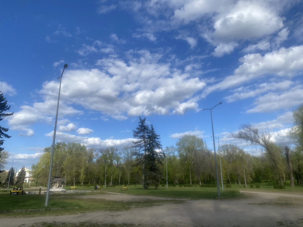 У головному парку Запоріжжя квітне сакура: чим ще можна помилуватись - фото