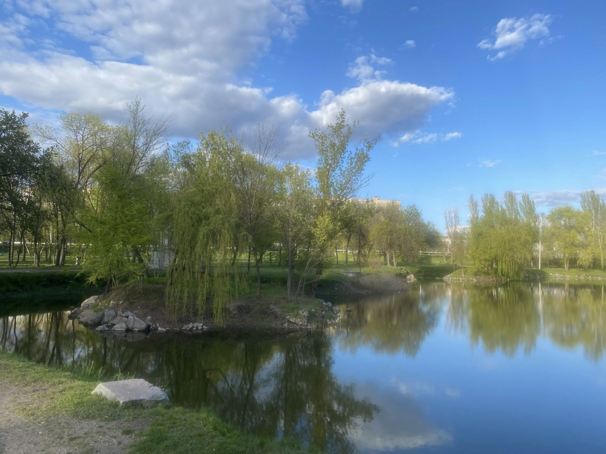 У головному парку Запоріжжя квітне сакура: чим ще можна помилуватись - фото