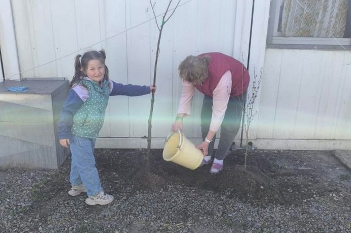 У Запоріжжі на території модульного містечка висадили дерева, фото: Запорізька міська рада