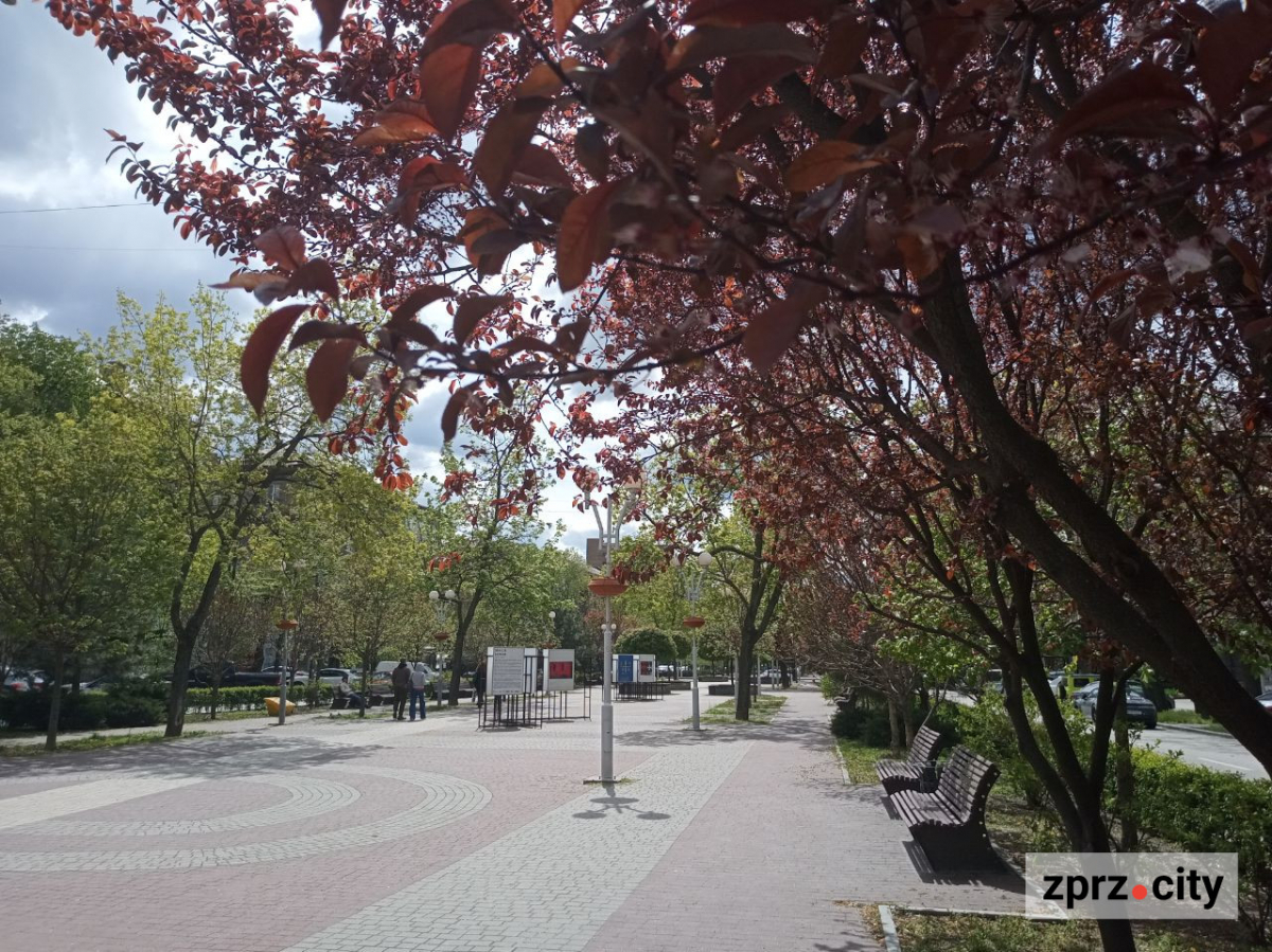 У Запоріжжі просто неба відкрили виставку харківського художника - фото