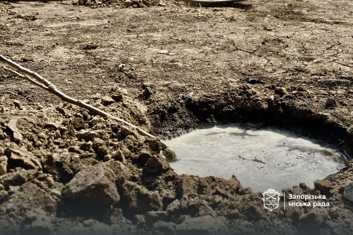 У Запоріжжі саджають сади Перемоги - фото