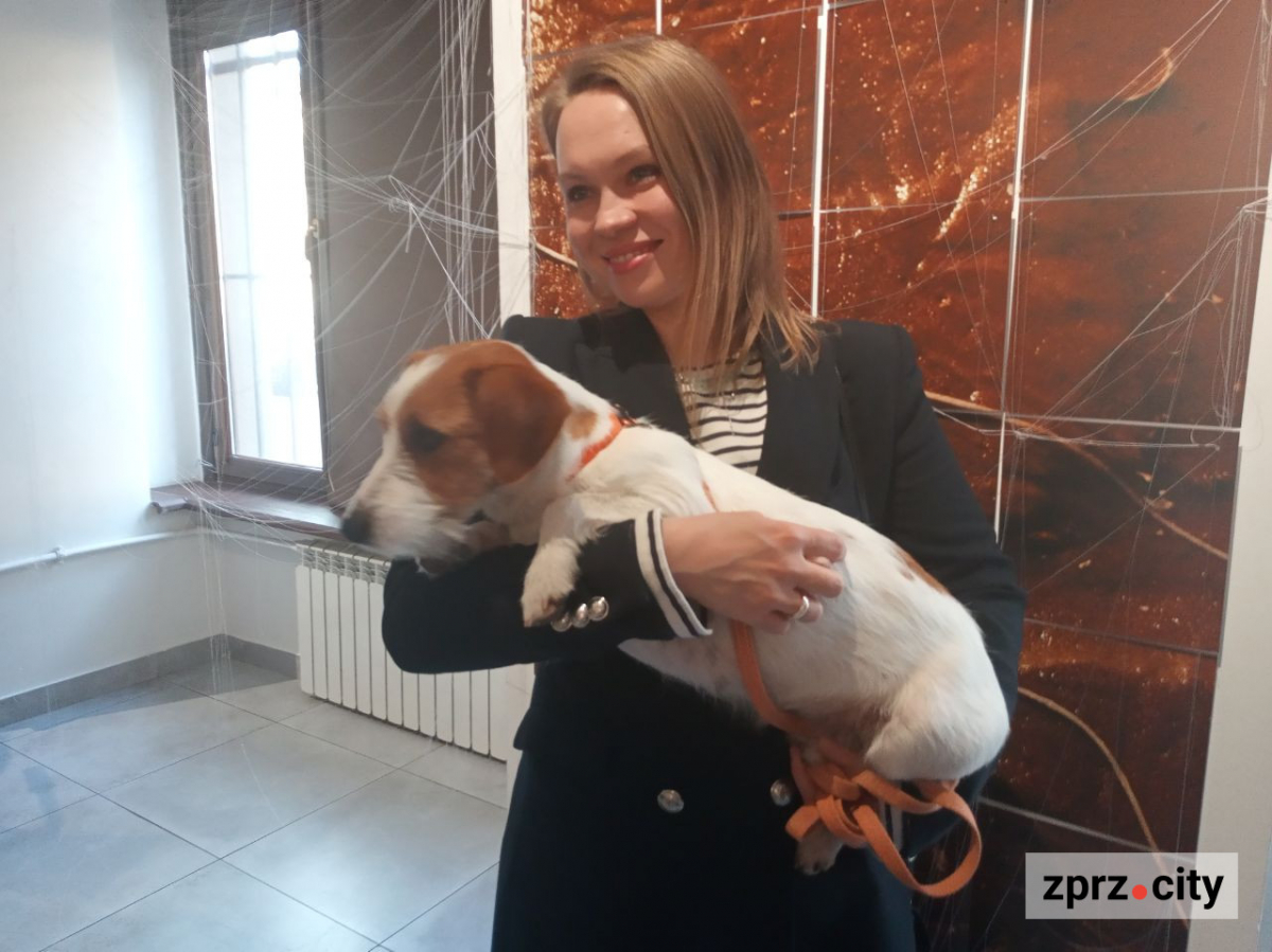 У Запоріжжі відкрили виставку з незвичайним просторовим рішенням: присвячена пам'яті та відповідальності (фото)