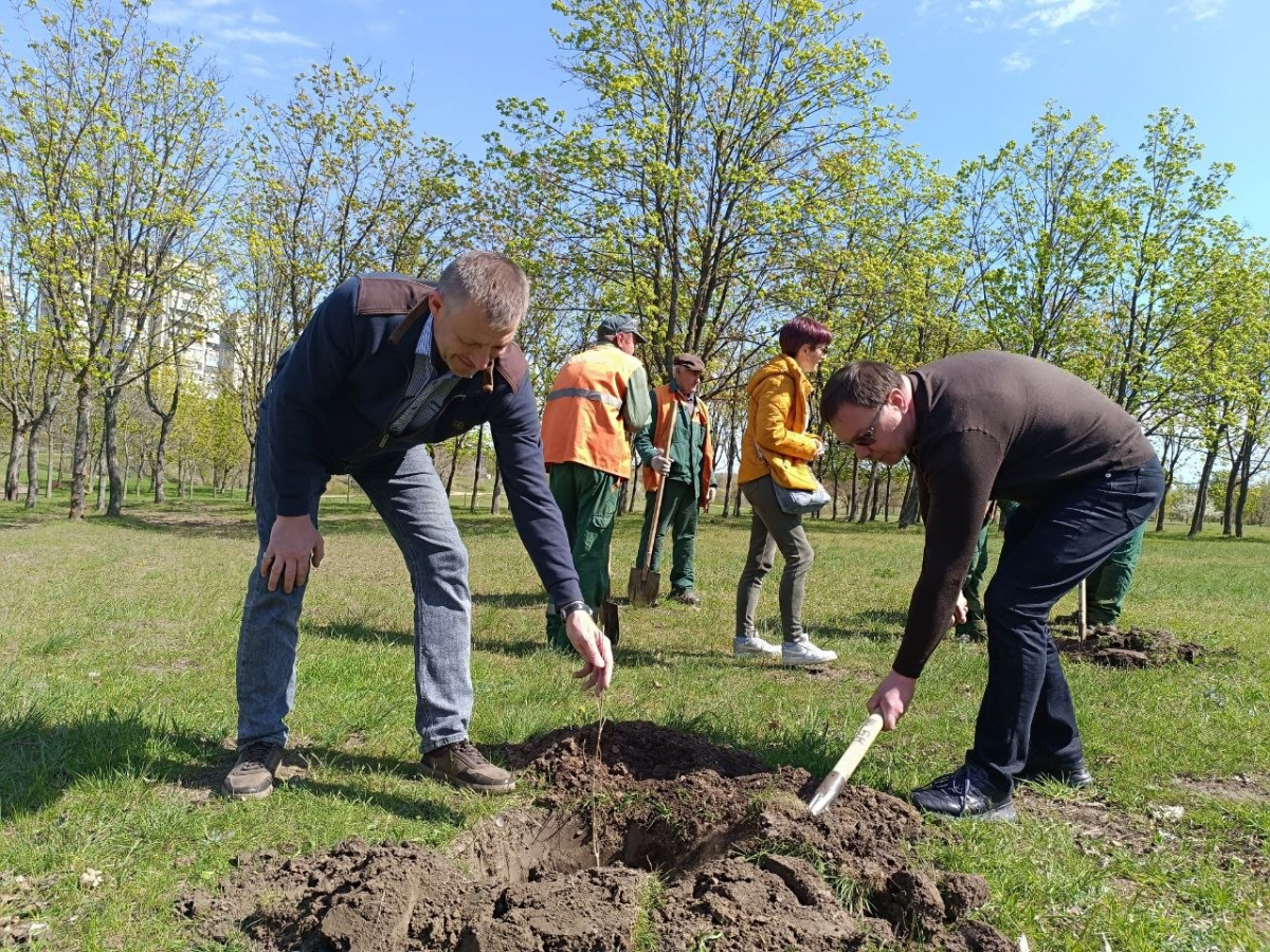 У Запоріжжі з'явилася алея дубів із «шевченківським корінням» (фото)