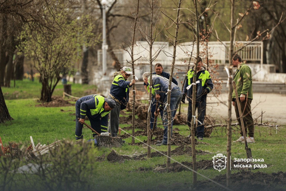 У парку "Дубовий гай" висадили нову алею, фото: Запорізька міська рада