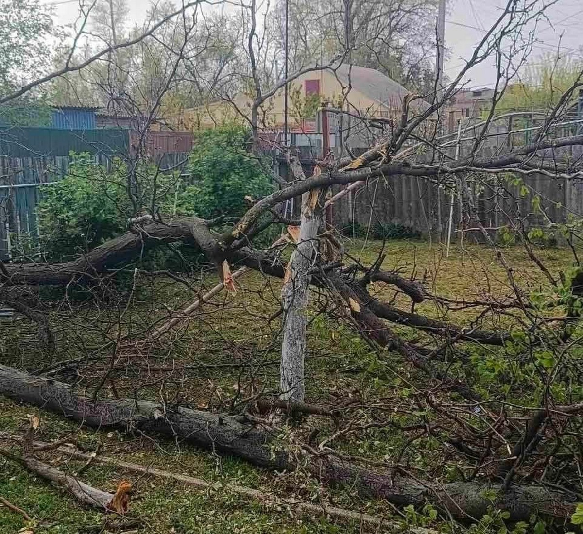 У Запорізькому районі відновили газопостачання після буревію
