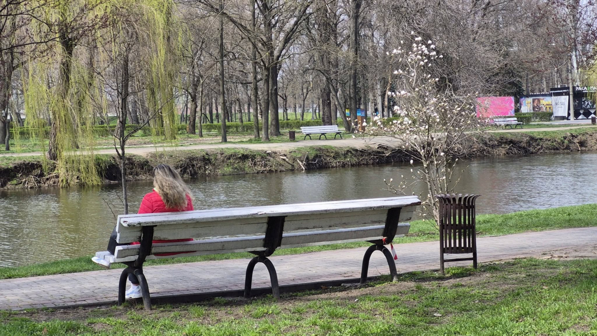 Алея магнолій у запорізькому "Дубовому гаю". Фото: Костянтин Антонець