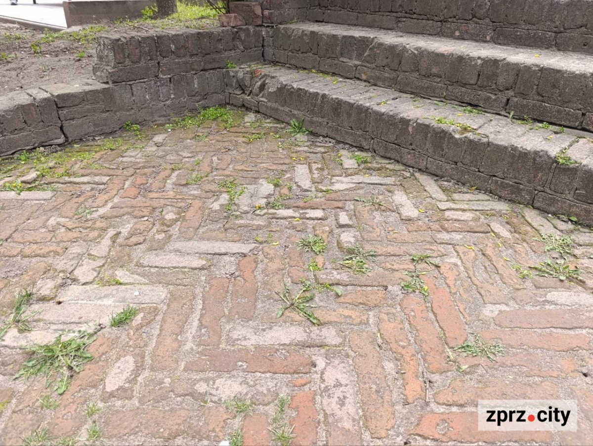 Від найстарішої школи до справжнього замку: які незвичайні менонітські будівлі можна побачити в Запоріжжі (фото)