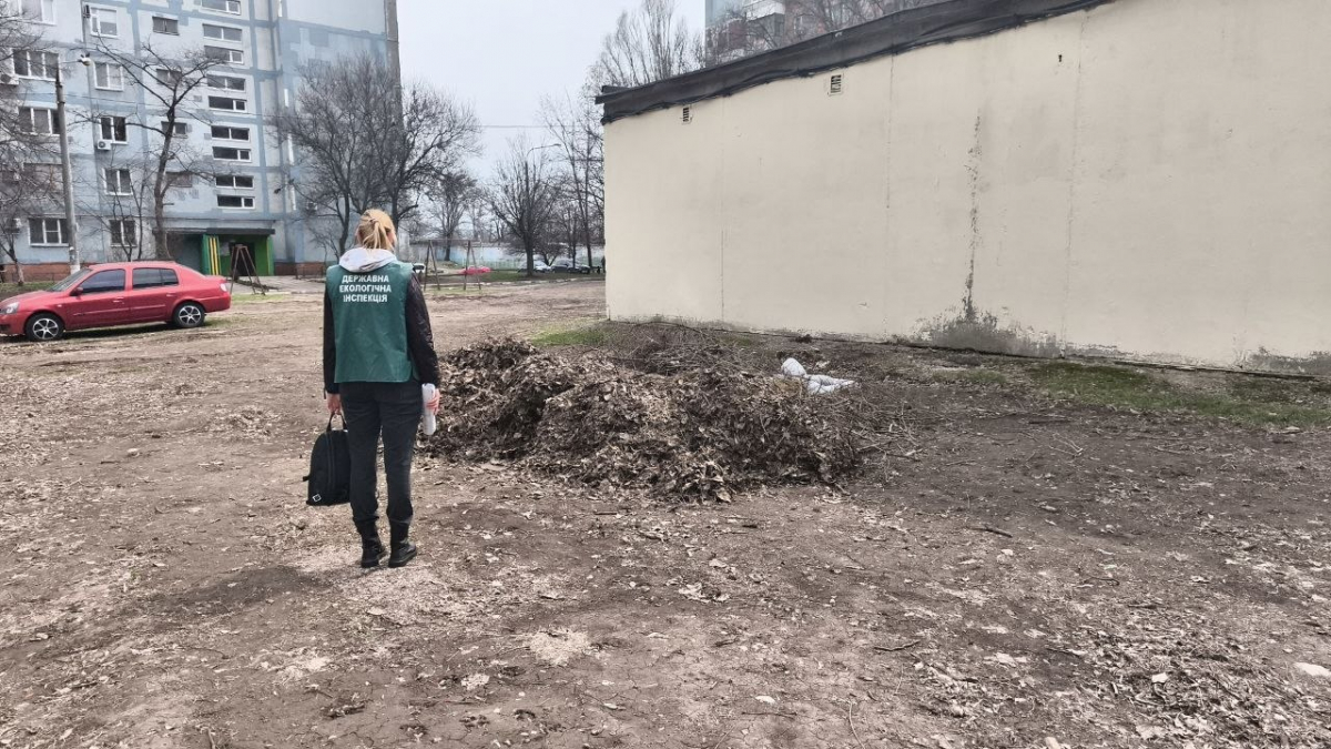 Відходи у дворі: у Запоріжжі екоінспектори знайшли стихійне звалище біля житлового будинку 