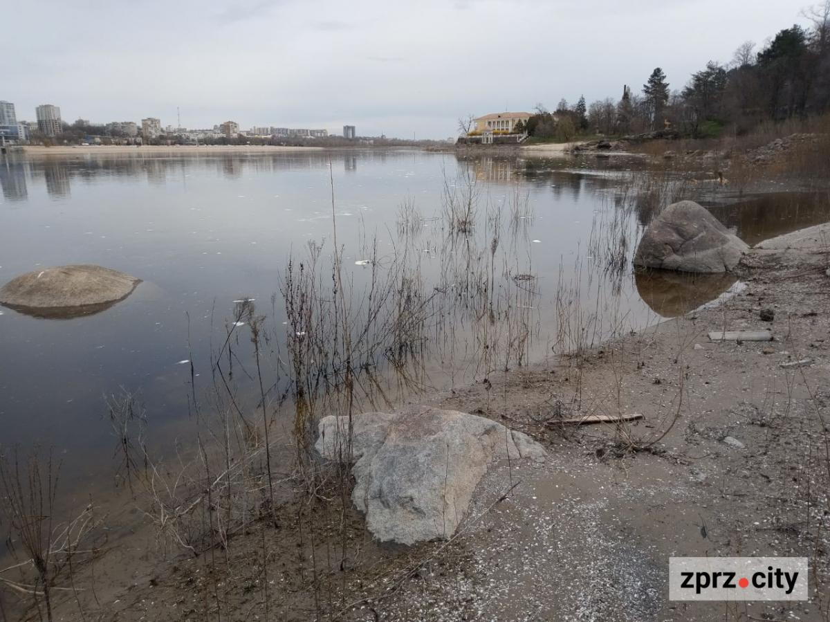 Води стало більше: як виглядає узбережжя Хортиці на початку квітня