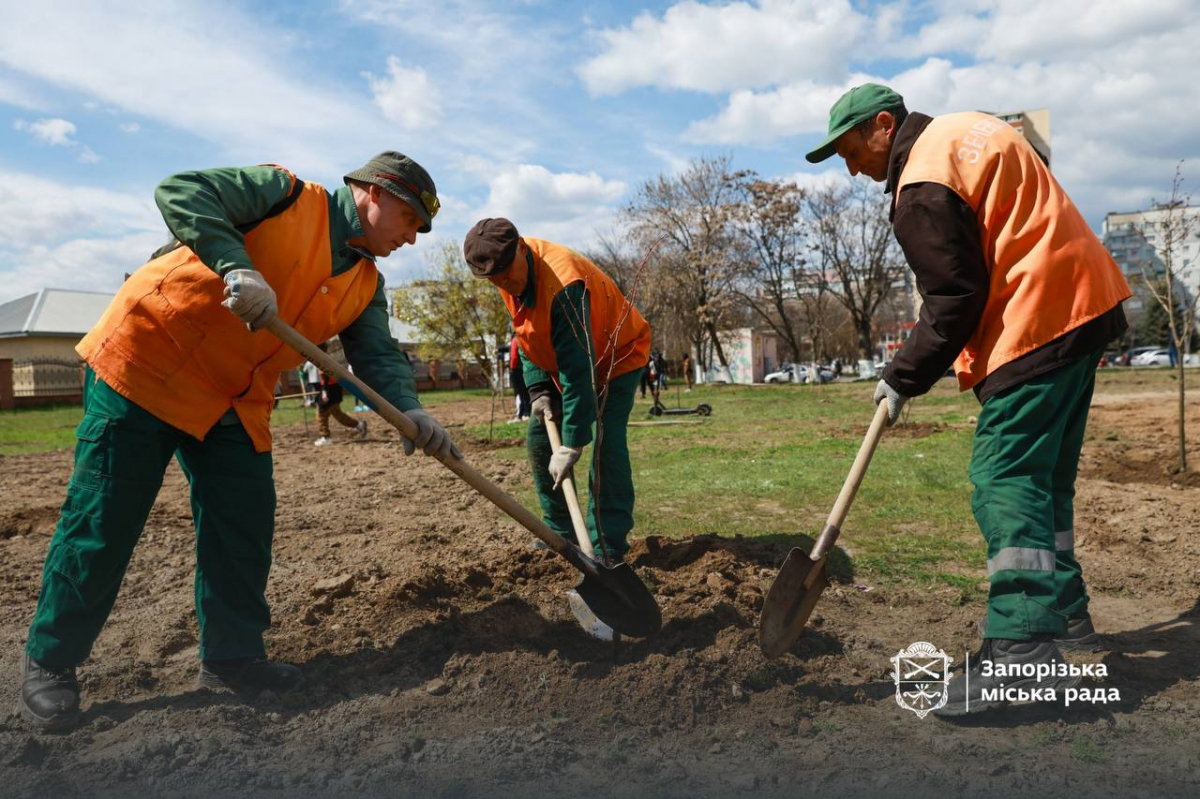 Замість бур'янів та пилу — тінь і затишок: на пустирі у Хортицькому районі Запоріжжя висадили десятки дерев (фото)