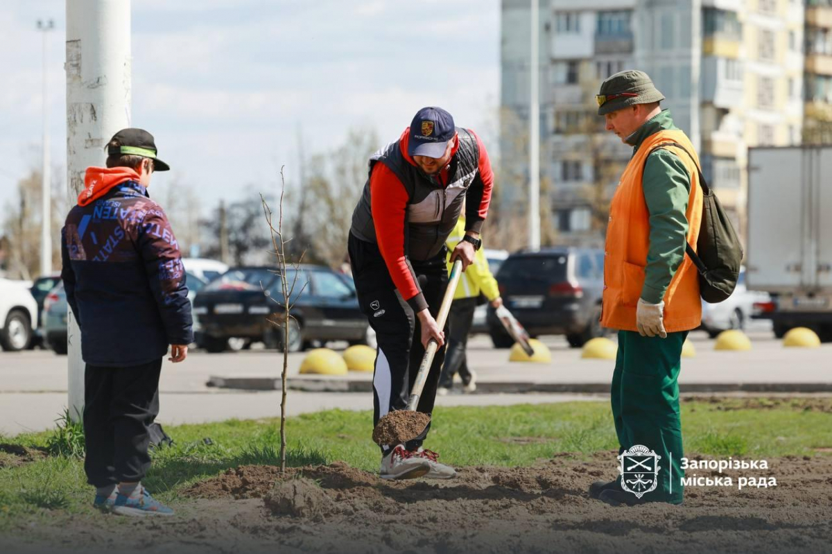 Замість бур'янів та пилу — тінь і затишок: на пустирі у Хортицькому районі Запоріжжя висадили десятки дерев (фото)