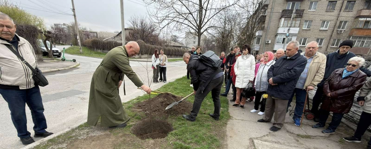 Живий символ пам'яті: в Запоріжжі висадили іменні липи для «азовців» (фото, відео)