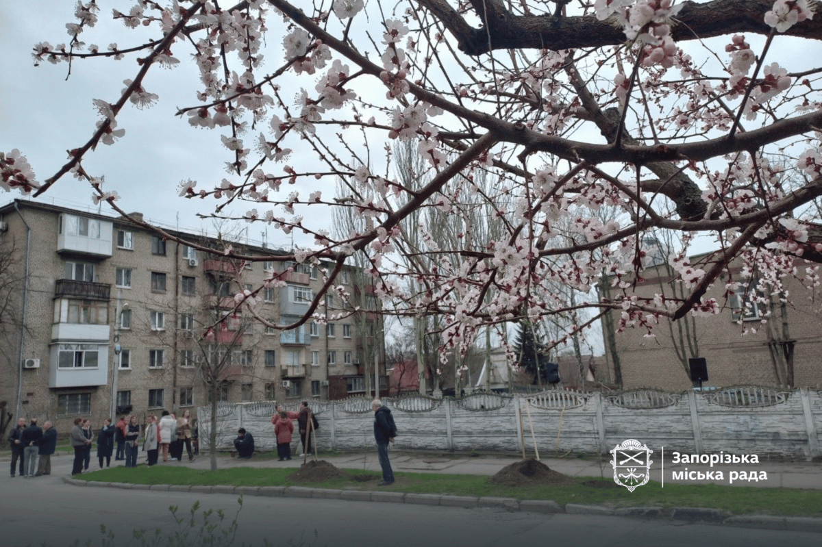 Живий символ пам'яті: в Запоріжжі висадили іменні липи для «азовців» (фото, відео)