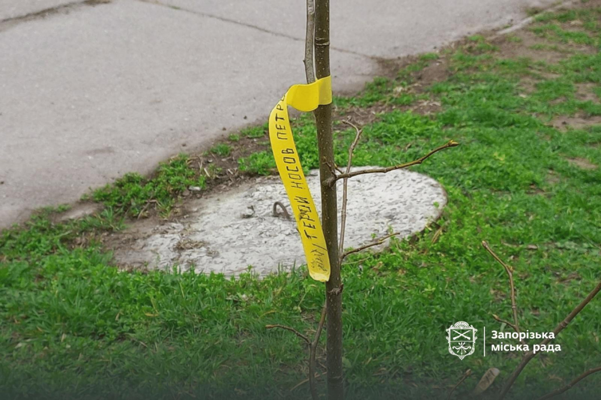Живий символ пам'яті: в Запоріжжі висадили іменні липи для «азовців» (фото, відео)