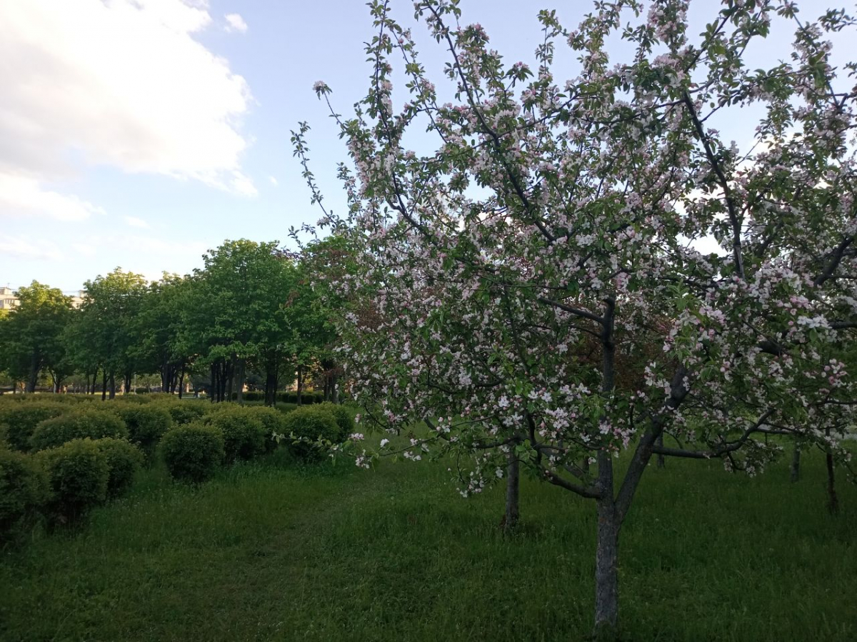 Запоріжжя, фото Світлани Олійник