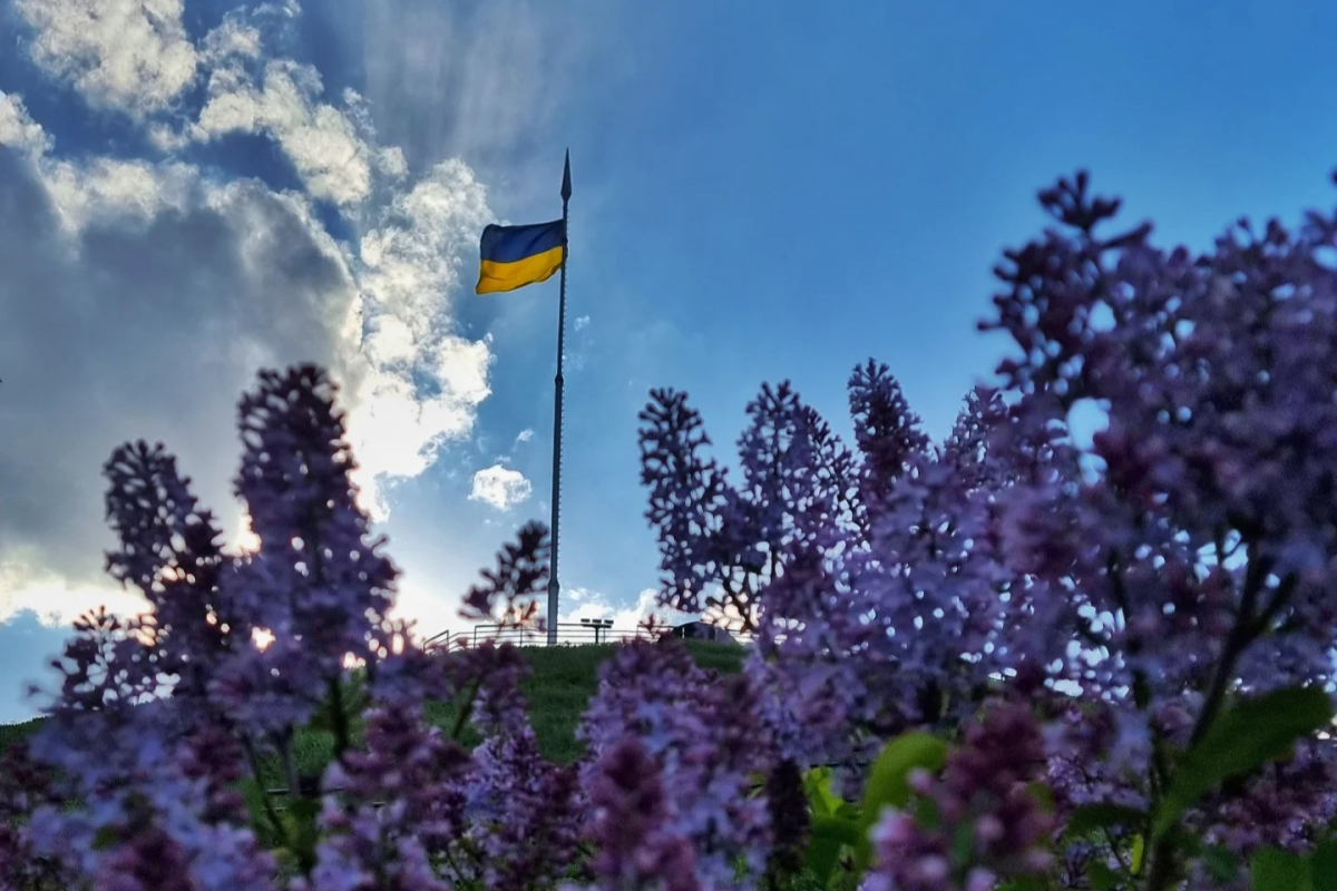 Фото Таїсії Іщенко, ілюстративне