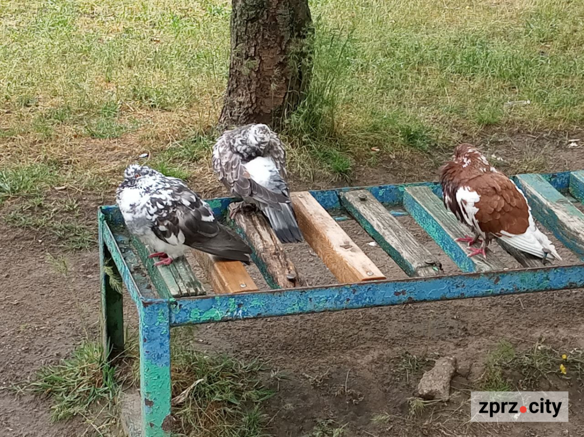 Парк Поколінь