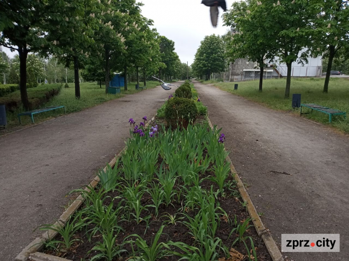 Парк Поколінь