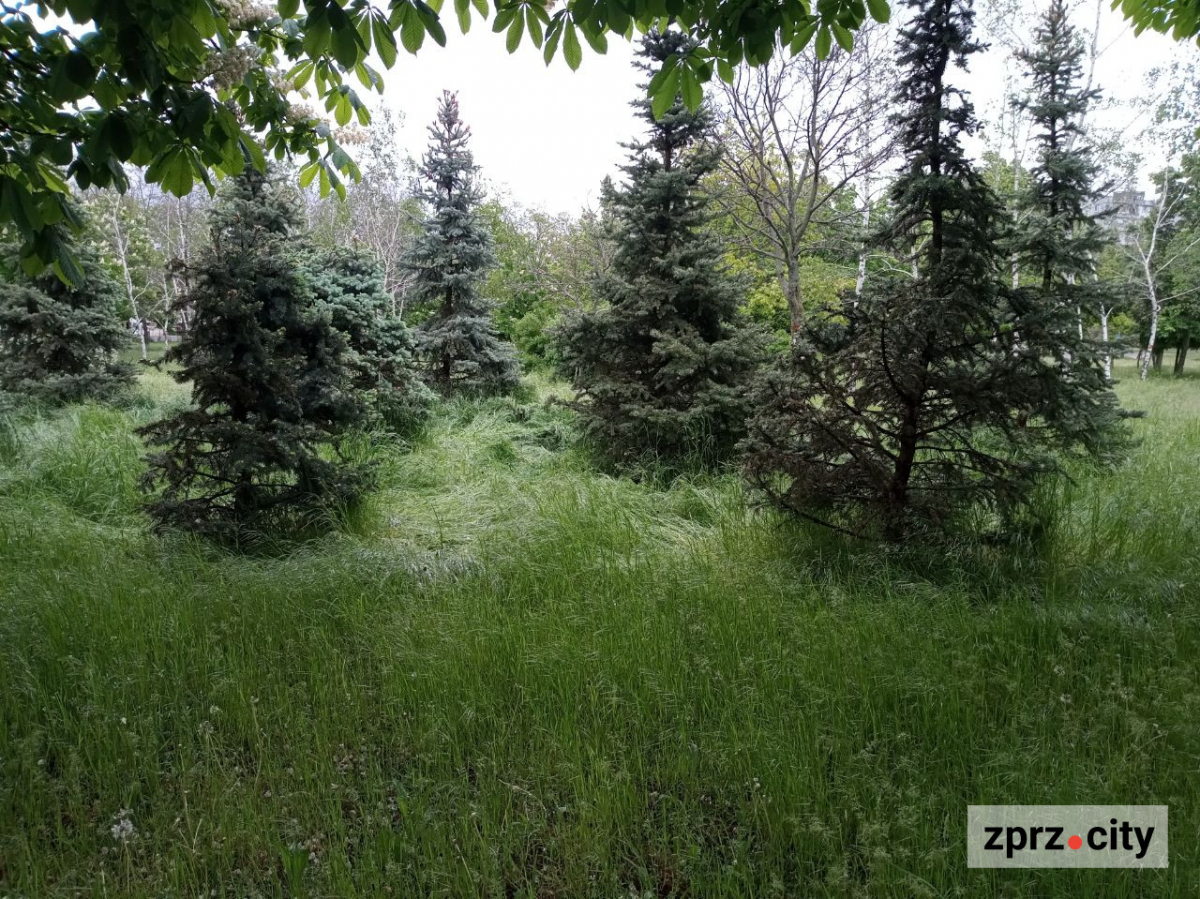 Парк Поколінь 